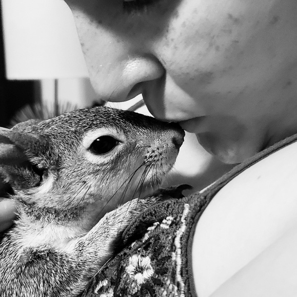 Meet your Posher, Crystal - Picture 4 of 7